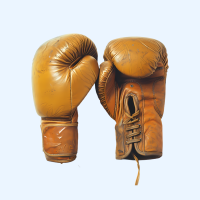 Gym & Boxing