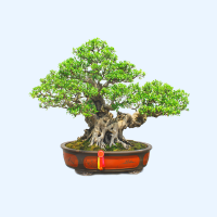 Ngoại Thất & Sân Vườn